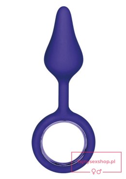 Plug-BOOTY TICKLER PURPLE