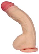 Najbardziej realistyczne XXL Dildo-DIONIZOS 25,5cm-LOVECLONEX