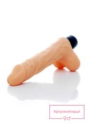 Wibrator-CYCLONE-12function vibrator