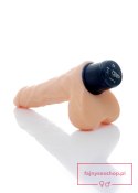 Wibrator-CYCLONE-12function vibrator