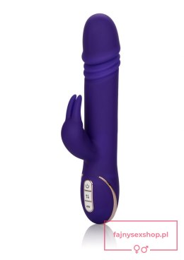 Thrusting Rabbit Signature Purple