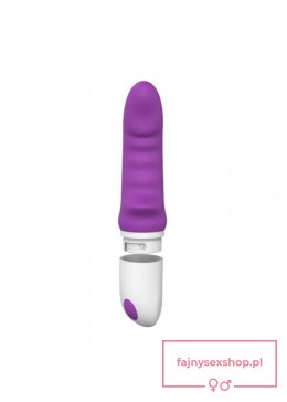 Wibrator-VIBRATORE DESIGN ELYS - RHINHORN VIBE PURPLE