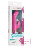 Spellbound Bunny Pink Spellbound Bunny Pink
