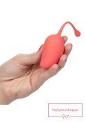 Kegel Training Set Mango Assortment