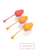 Kegel Training Set Mango Assortment