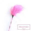 Pejcz-Pon Riding Crop (rosa)