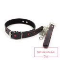 Easy Collar Leash black Easy Collar Leash black
