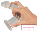 Crystal Clear Anal Training Se