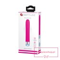 PRETTY LOVE - REGINALD 12 FUNCTIONS USB PINK