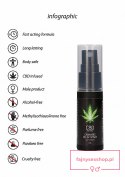 CBD Cannabis Delay Spray - 15 ml