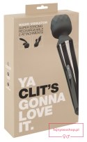 Massage Wand & 2 Attachments