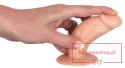 Anal Training Set Dildos