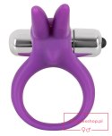 Cock Ring Rabbit