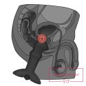 Anal Indulgence Collection Prostate Stud