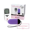 LoversPremium - Vibrating Egg Purple