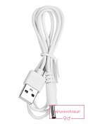 Wibrator-Strong Bullet Vibrator Silver/Black USB 10 Function