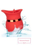 French Kiss Sweet Talker Red French Kiss Sweet Talker Red
