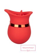 French Kiss Sweet Talker Red French Kiss Sweet Talker Red