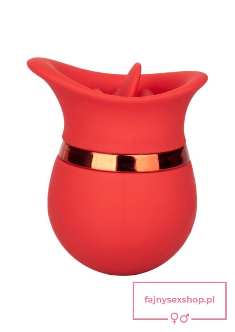 French Kiss Sweet Talker Red French Kiss Sweet Talker Red