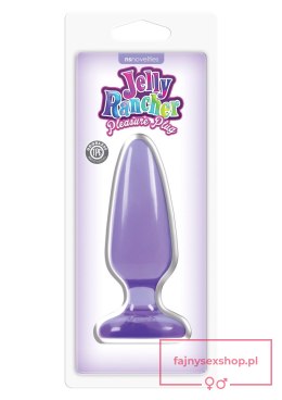 Pleasure Plug - Medium Purple