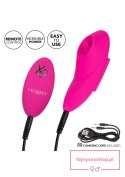 Remote Flicker Panty Teaser Pink