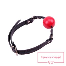 Red Ball Gag