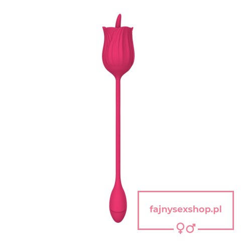 Stymulator - Licking massager with vibrating Egg USB 10 Functions Stymulator - Licking massager with vibrating Egg USB 10 Functions