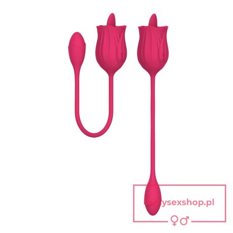 Stymulator - Licking massager with vibrating Egg USB 10 Functions Stymulator - Licking massager with vibrating Egg USB 10 Functions