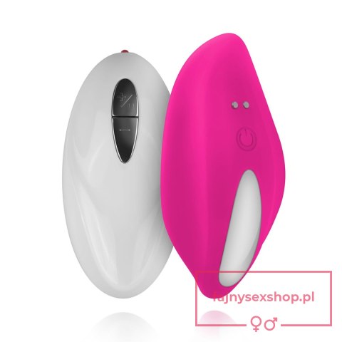 Mini Vibrator With Remote Control Mini Vibrator With Remote Control