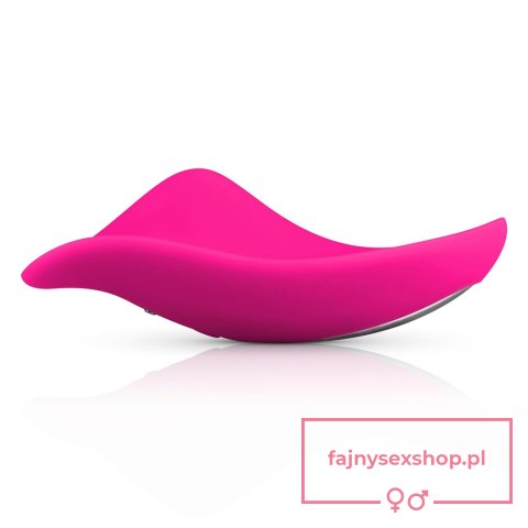 Mini Vibrator With Remote Control Mini Vibrator With Remote Control