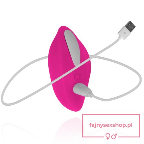 Mini Vibrator With Remote Control Mini Vibrator With Remote Control