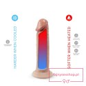 Premium Real Skin Model 2 (7,5") Flesh Premium Real Skin Model 2 (7,5") Flesh