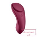 Sexy Secret Panty Vibrator