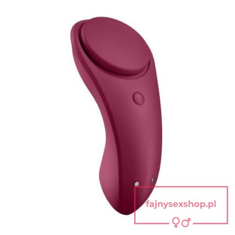 Sexy Secret Panty Vibrator Sexy Secret Panty Vibrator