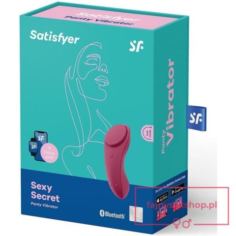 Sexy Secret Panty Vibrator Sexy Secret Panty Vibrator