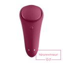 Sexy Secret Panty Vibrator