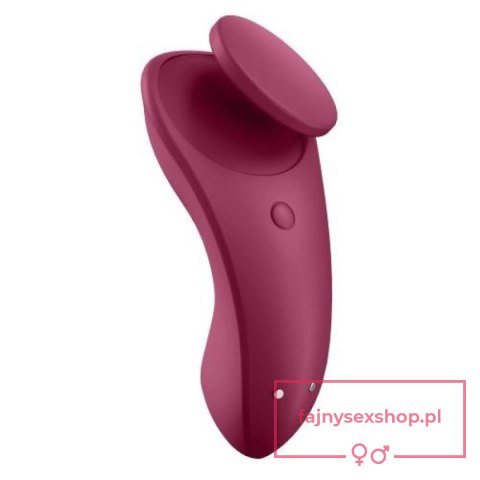 Sexy Secret Panty Vibrator Sexy Secret Panty Vibrator