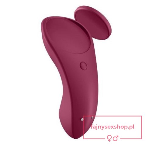 Sexy Secret Panty Vibrator Sexy Secret Panty Vibrator