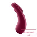 Sexy Secret Panty Vibrator