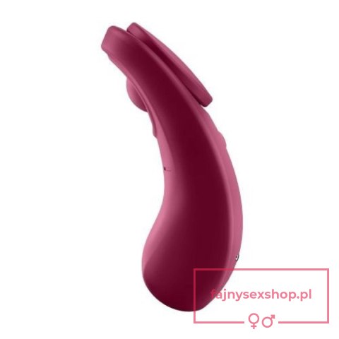 Sexy Secret Panty Vibrator Sexy Secret Panty Vibrator