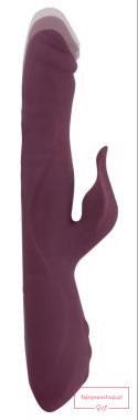 JAVIDA-3 Function Vibrator