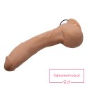 BAILE-Beautiful Jack 10.6""""