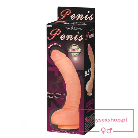 BAILE - Penis Vibration
