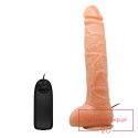 BAILE - Penis Vibration