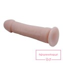BAILE - The Big Penis BAILE - The Big Penis