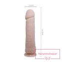 BAILE - The Big Penis BAILE - The Big Penis