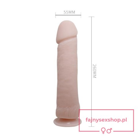 BAILE - The Big Penis BAILE - The Big Penis