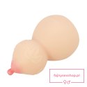 CRAZY BULL - Calabash, TPR CRAZY BULL - Calabash, TPR