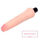 BAILE - The Realistic Coock Vibrating