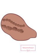 Big Ass Banger Vibr. Brown skin tone Big Ass Banger Vibr. Brown skin tone